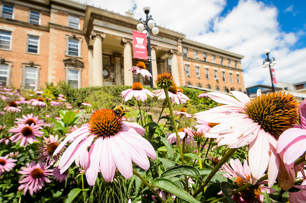 summer flowers in front of a campus building