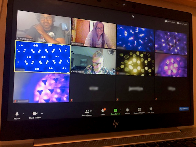 picture of a computer screen showing a Zoom meeting where most of the individual boxes are where the students' kaleidoscopes are being held up to the camera