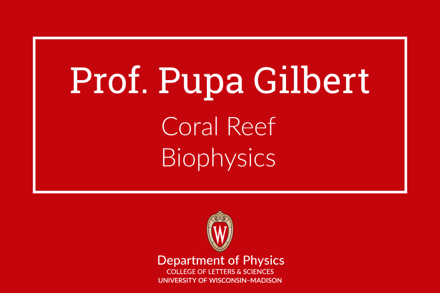 title slide that says Pupa Gilbert, coral reef biophysics and contains the dept logo