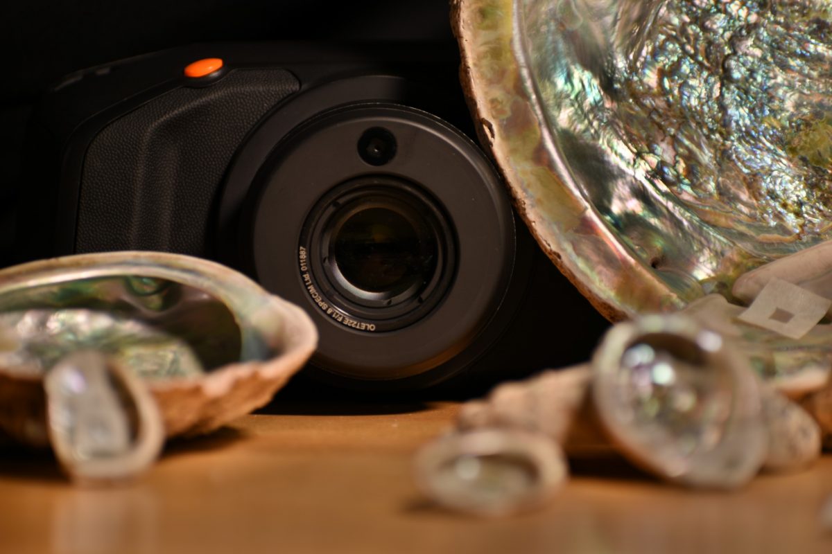 A camera and some iridescent shells