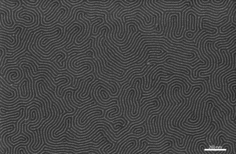 image looks like a black and white maze