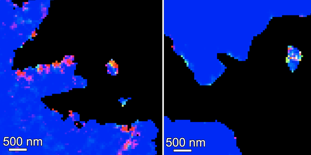 two bright colored images assign a color to the form of calcium present in coral skeletons. On the left there is a thicker band of non-blue (blue is crystalline aragonite) compared to the image on the right where there is almost all blue, indicating the skeleton on the right crystallizes to aragonite more quickly