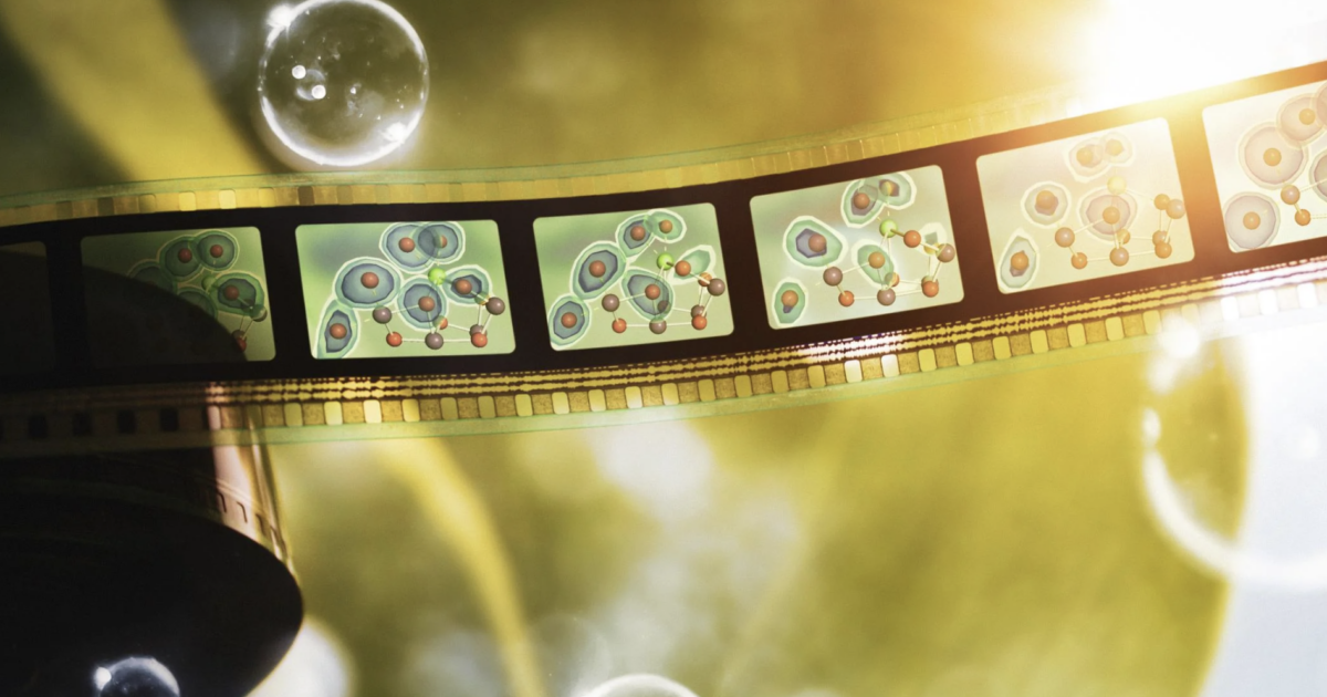 an abstract background with a 35mm film with several panels showing the molecular process described in the study