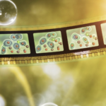 an abstract background with a 35mm film with several panels showing the molecular process described in the study