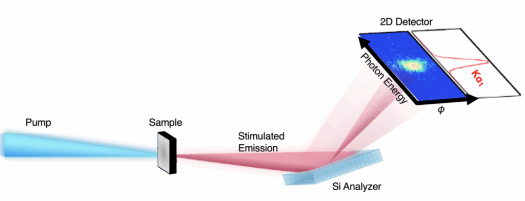 a blue pump beam is focused on a sample, which, if stimulated emission occurs, beams out of the sample (depicted as a red beam here). It is then reflected off a silcon analyzer that separates it based on wavelength (similar to how a prism spreads out white light into a visible rainbow) to a detector.