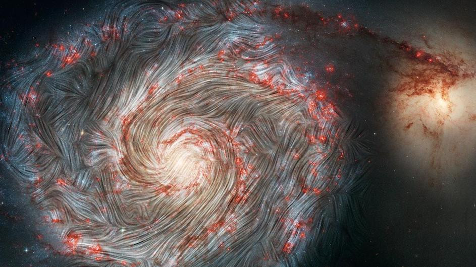 a whirled, wispy, spiral galaxy has white magnetic field lines overlaid on the image, showing that the magnetic field structure is organized in large, long structures over the entirety of the galaxy