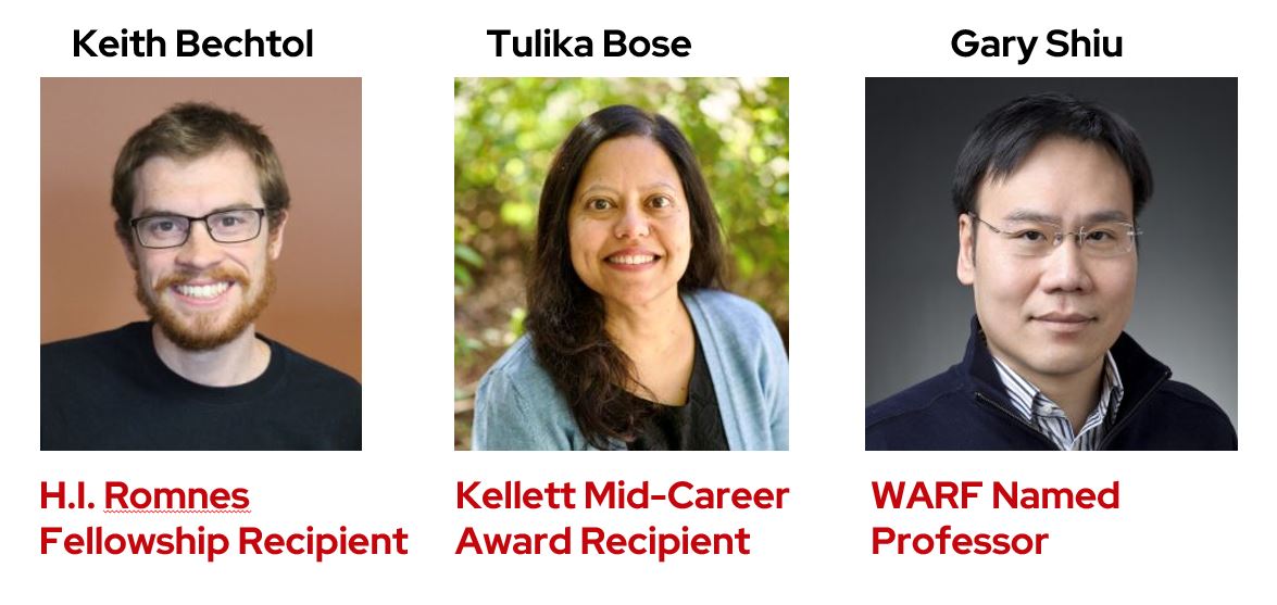 photos of the 3 faculty